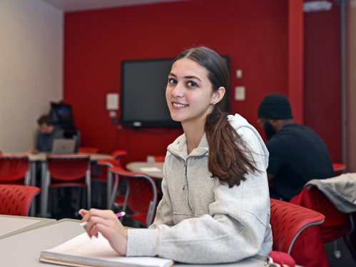 A student with a long pony tail wearing a gray sweatshirt studies in the learning centers